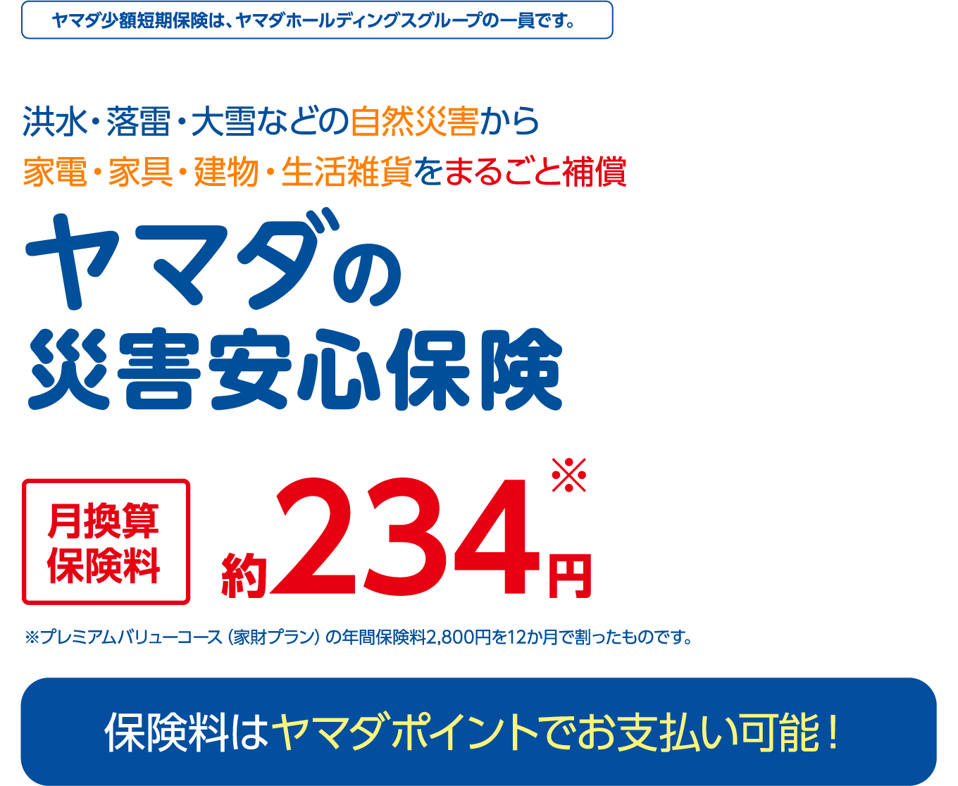 洪水・落雷・大雪などの自然災害から家電・家具・建物・生活雑貨をまるごと補償 ヤマダの災害安心保険